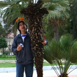 Daniel with Palm Tree